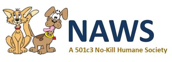 nawsus-logo